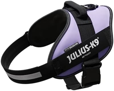 Julius-K9, 16IDC-PR-2, IDC Powerharness, Dog Harness, Size: 2, Purple