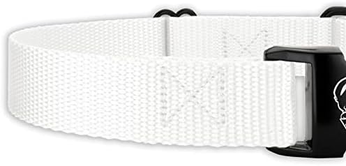 Country Brook Petz - Martingale Dog Collar - Heavy Duty Nylon Adjustable Martingale Dog Collar with Metal Buckle for Small Medium Large Breeds - 30+ Color Options (1 Inch, Extra Large, White)