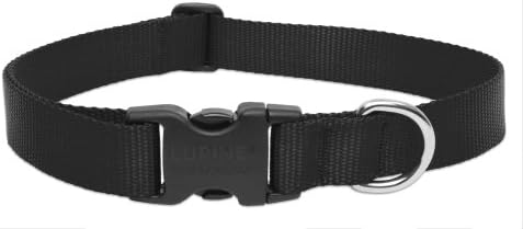 LupinePet Basics 1" Black 25-31" Adjustable Collar for Extra Large Dogs