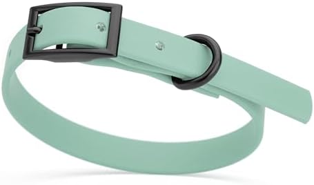 Dogline Biothane Waterproof Dog Collar Strong Coated Nylon Webbing with Black Hardware Odor- Proof for Easy Care Easy to Clean High Performance Fits Small Medium or Large Dogs, Sage Green