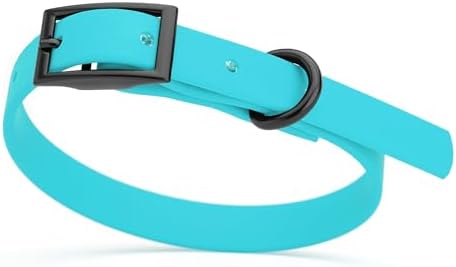 Dogline Biothane Waterproof Dog Collar Strong Coated Nylon Webbing with Black Hardware Odor- Proof for Easy Care Easy to Clean High Performance Fits Small Medium or Large Dogs, Sky Blue