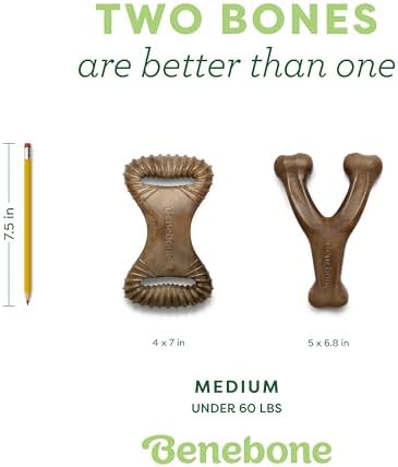 Benebone Wishbone/Dental Durable Dog Chew Toys, Real Bacon, 2 Count Medium (Pack of 8)