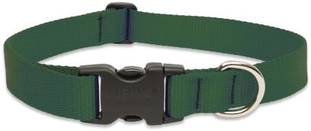LupinePet Basics 1" Green 25-31" Adjustable Collar for Extra Large Dogs