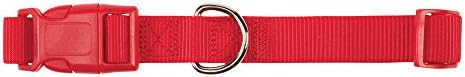 Zack & Zoey ⅜" Wide Nylon Dog Collar, Fits Necks 6" to 10", Tomato Red