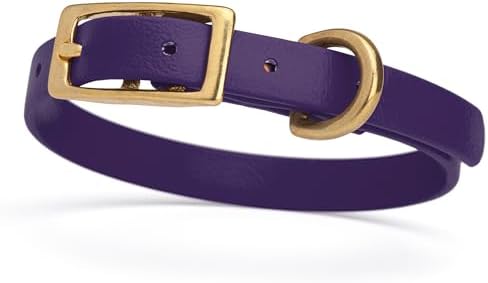 Viper Biothane Heavy Duty Waterproof Dog Collar Strong Coated Nylon Webbing w/Solid Brass Hardware Odor-Proof Easy to Clean High Performance Fits Small Medium or Large Dogs, Violet Purple