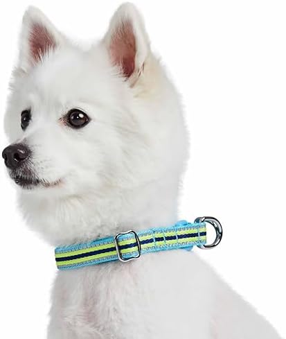 Blueberry Pet Safety Dog Collar with Dual D-Rings | 3M Reflective Multi-Colored Adjustable Collar in Blue and Yellow | Soft Nylon Dog Collar for Active Small Dogs