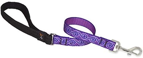 LupinePet Originals 3/4" Jelly Roll 2-Foot Traffic Lead/Leash for Medium and Larger Dogs
