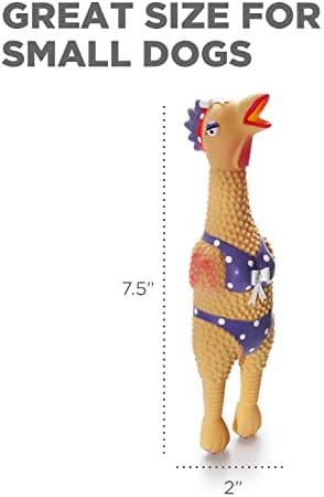 Outward Hound by Charming Pet Squawkers Henrietta Latex Squeaky Rubber Chicken Dog Toy, Funny Interactive Holiday Toy for Dogs, Small Size