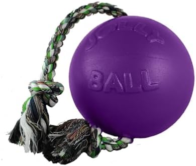 Jolly Pets Romp-N-Roll Rope & Ball Dog Toy, 4.5 in Small, Blueberry