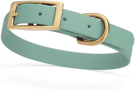Viper Biothane Heavy Duty Waterproof Dog Collar Strong Coated Nylon Webbing w/Solid Brass Hardware Odor-Proof Easy to Clean High Performance Fits Small Medium or Large Dogs, Sage Green