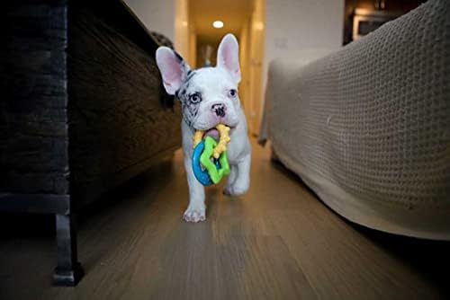 Nylabone Puppy Power Chew Teething Rings Dog Chew Toy, Bacon Flavor, Small