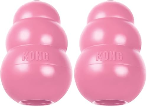KONG - Puppy Toy Natural Teething Rubber - Fun to Chew, Chase and Fetch - for Medium Puppies - Pink (Pack of 2)