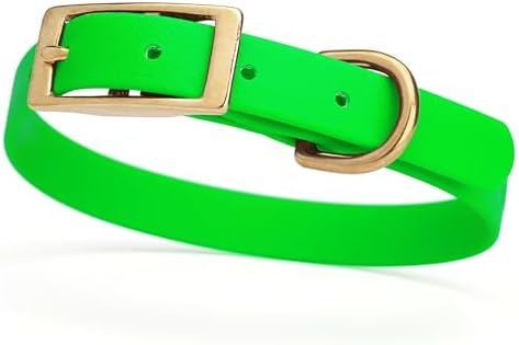 Viper Biothane Heavy Duty Waterproof Dog Collar Strong Coated Nylon Webbing w/Solid Brass Hardware Odor-Proof Easy to Clean High Performance Fits Small Medium or Large Dogs, Tropical Green