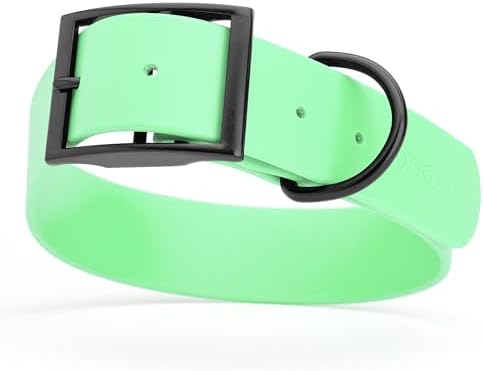 Dogline Biothane Waterproof Dog Collar Strong Coated Nylon Webbing with Black Hardware Odor- Proof for Easy Care Easy to Clean High Performance Fits Small Medium or Large Dogs, Sea Foam Green