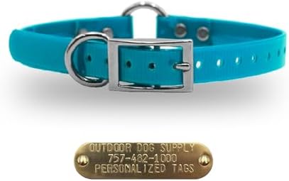 Lightweight Waterproof D & Center Ring Dog Collar w Custom Name Tag, Teal