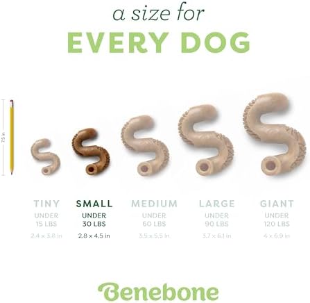 Benebone Tripe Bone Durable Dog Chew Toy for Aggressive Chewers, Real Tripe, Made in USA, Small