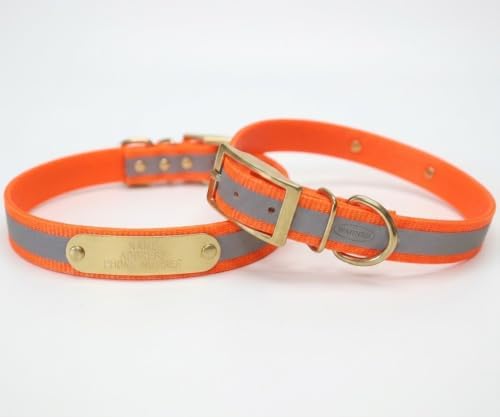 Reflective Dayglo Dog Collar Free Engraved Brass ID tag USA (Orange 23")