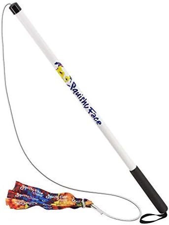 Squishy Face Studio Flirt Pole V2 with Lure - Durable Dog Toy for Fun Obedience Training & Exercise, Rainbow Tie Dye, Regular - 36 inch for All Breed Sizes
