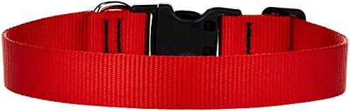 LupinePet Basics 1" Red 12-20" Adjustable Collar for Medium and Larger Dogs