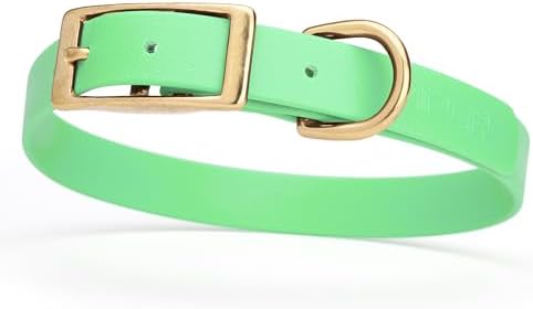 Viper Biothane Heavy Duty Waterproof Dog Collar Strong Coated Nylon Webbing w/Solid Brass Hardware Odor-Proof for Easy Care to Clean High Performance Fits Small Medium or Large Dogs, Sea Foam Green