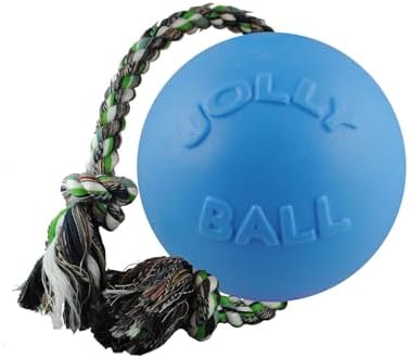 Jolly Pets Romp-N-Roll Rope & Ball Dog Toy, 4.5 in Small, Blue