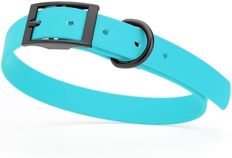 Dogline Biothane Waterproof Dog Collar Strong Coated Nylon Webbing with Black Hardware Odor- Proof for Easy Care Easy to Clean High Performance Fits Small Medium or Large Dogs, Sky Blue