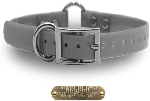 Heavy Duty Waterproof D & Center Ring Dog Collar w Custom Name Tag, Silver