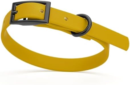 Dogline Biothane Waterproof Dog Collar Strong Coated Nylon Webbing with Black Hardware Odor- Proof for Easy Care Easy to Clean High Performance Fits Small Medium or Large Dogs, Treasure Gold