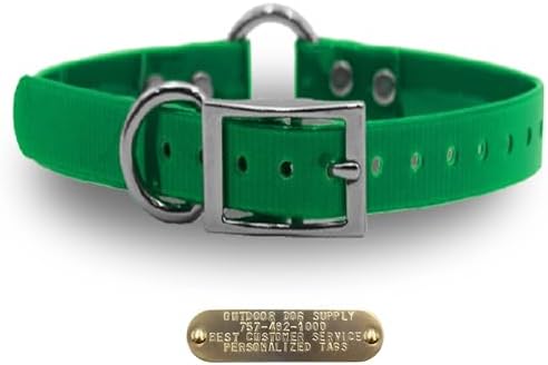 Heavy Duty D & Center Ring Dog Collar w Custom Name Tag, Dark Green 18"