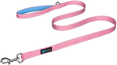 PHOEPET 5 Feet Dog Leash - Dual-Side Reflective - Soft Padded Handle