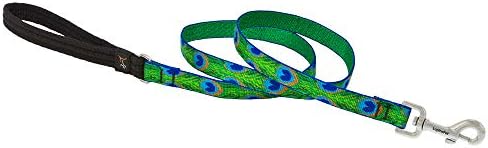 LupinePet Originals 3/4" Tail Feathers 6-Foot Padded Handle Leash for Medium and Larger Dogs