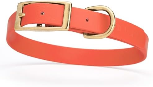 Viper Biothane Heavy Duty Waterproof Dog Collar Strong Coated Nylon Webbing w/Solid Brass Hardware Odor-Proof Easy to Clean High Performance Fits Small Medium or Large Dogs, Coral