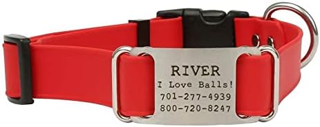 dogIDs Personalized Quick Release Waterprooft ScruffTag Dog Collar - Built-in Custom Laser Engraved Nameplate, Odor Resistant - Red, 1 in x 16-23 in (Fits Neck Sizes: 16-23 in)