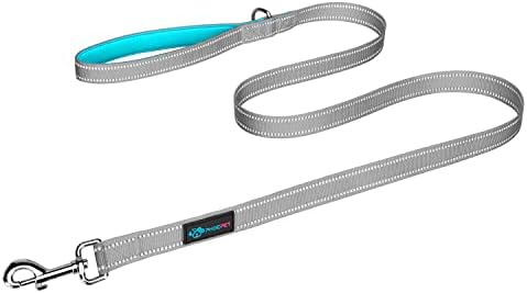 PHOEPET 5 Feet Dog Leash - Dual-Side Reflective - Soft Padded Handle