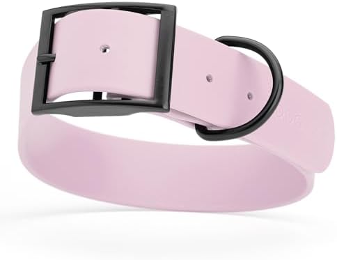 Dogline Biothane Waterproof Dog Collar Strong Coated Nylon Webbing with Black Hardware Odor- Proof for Easy Care Easy to Clean High Performance Fits Small Medium or Large Dogs, Pastel Purple