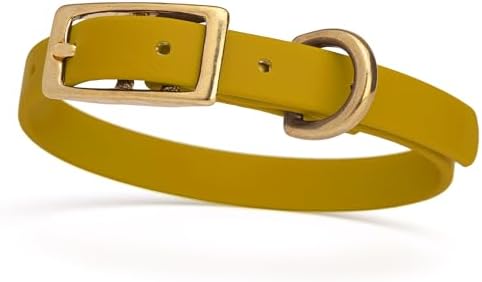 Viper Biothane Heavy Duty Waterproof Dog Collar Strong Coated Nylon Webbing w/Solid Brass Hardware Odor-Proof for Easy Care to Clean High Performance Fits Small Medium or Large Dogs, Treasure Gold