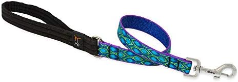 LupinePet Originals 3/4" Rain Song 2-Foot Traffic Lead/Leash for Medium and Larger Dogs