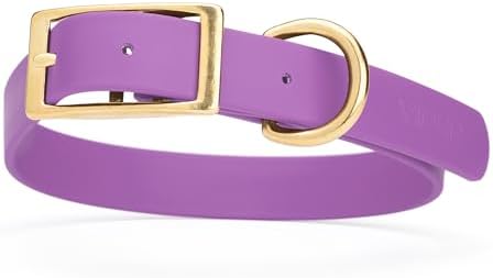 Viper Biothane Heavy Duty Waterproof Dog Collar Strong Coated Nylon Webbing w/Solid Brass Hardware Odor-Proof for Easy Care to Clean High Performance Fits Small Medium or Large Dogs, Amethyst Purple