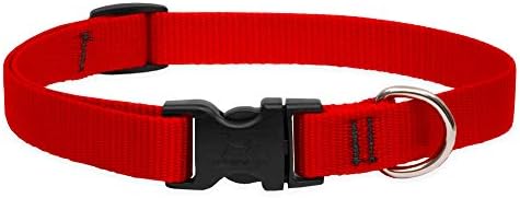 LupinePet Basics 3/4" Red 9-14" Adjustable Collar for Small Dogs
