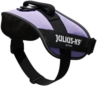 Julius-K9, 16IDC-PR-2, IDC Powerharness, Dog Harness, Size: 2, Purple
