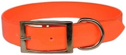 Dayglo Dog Collar with Engraved Brass ID tag USA (19" Fits 13-17" Neck, Orange)