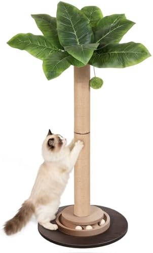 41.5" Tall Cat Scratching Post, Canna Leaf Cat Scratcher with Sisal Rope & Interactive Toys for Indoor Cats