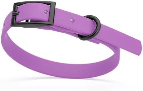 Dogline Biothane Waterproof Dog Collar Strong Coated Nylon Webbing with Black Hardware Odor- Proof for Easy Care Easy to Clean High Performance Fits Small Medium or Large Dogs, Amethyst Purple