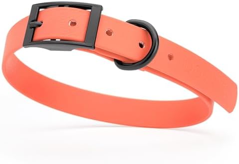 Dogline Biothane Waterproof Dog Collar Strong Coated Nylon Webbing with Black Hardware Odor- Proof for Easy Care Easy to Clean High Performance Fits Small Medium or Large Dogs, Coral