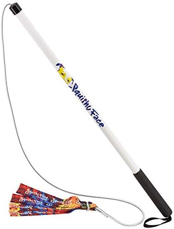 Squishy Face Studio Flirt Pole V2 with Lure - Durable Dog Toy for Fun Obedience Training & Exercise, Rainbow Tie Dye, Regular - 36 inch