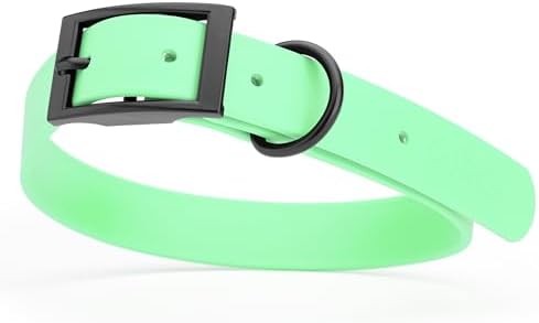 Dogline Biothane Waterproof Dog Collar Strong Coated Nylon Webbing with Black Hardware Odor- Proof for Easy Care Easy to Clean High Performance Fits Small Medium or Large Dogs, Sea Foam Green