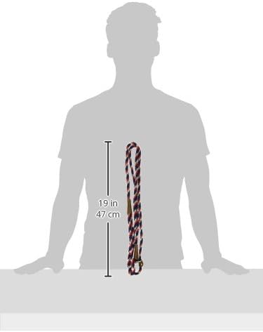 Mendota Pet Slip Leash - Dog Lead and Collar Combo - Made in The USA - Pride, 3/8 in x 6 ft - for Small/Medium Breeds