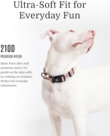 Fei & Eve Classic Dog Collar, Soft & Fur-Friendly