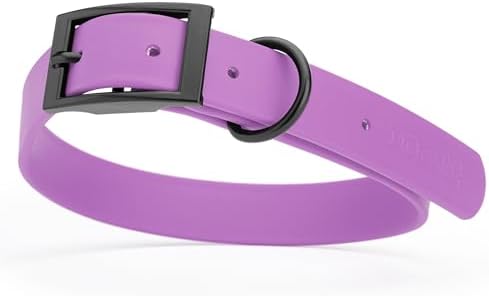 Dogline Biothane Waterproof Dog Collar Strong Coated Nylon Webbing with Black Hardware Odor- Proof for Easy Care Easy to Clean High Performance Fits Small Medium or Large Dogs, Amethyst Purple
