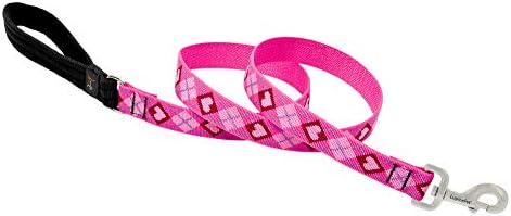 LupinePet Originals 1" Puppy Love 6-Foot Padded Handle Leash for Medium and Larger Dogs